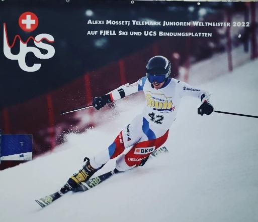 Fjell telemark poster